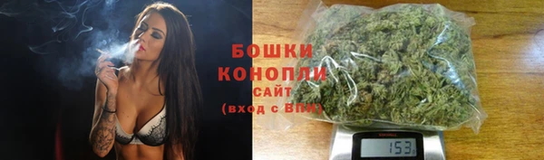 apvp Надым